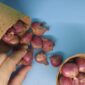 Bawang merah dapat membantu menjaga kesehatan jantung. (Dok. Harianindonesia.com/Banny Rachman)