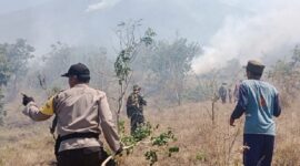 Pusat Pengendalian Operasi Kabupaten Karangasem melaporkan karhutla terjadi di kawasan lereng Gunung Agung. (Dok. BNPB)