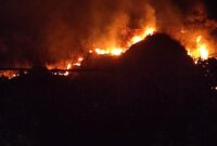 Kebakaran lahan terjadi di area lereng Gunung Jayanti. (Dok. BPBD Kabupaten Sukabumi) 