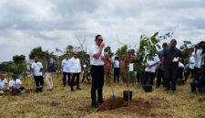 Menteri ATR BPN Agus Harimurti Yudhoyono melakukan tanam pohon diatas lahan X PT. Rejo Sari Bumi (RSB) di Kampung Ci aul Desa Cibedug. (Dok. Iwan)