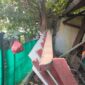 35 Unit Rumah di Kota/Kabupaten Bogor Alami Rusak Ringan Akibat Gempa M4.1. (Dok. BPBD Kota Bogor)