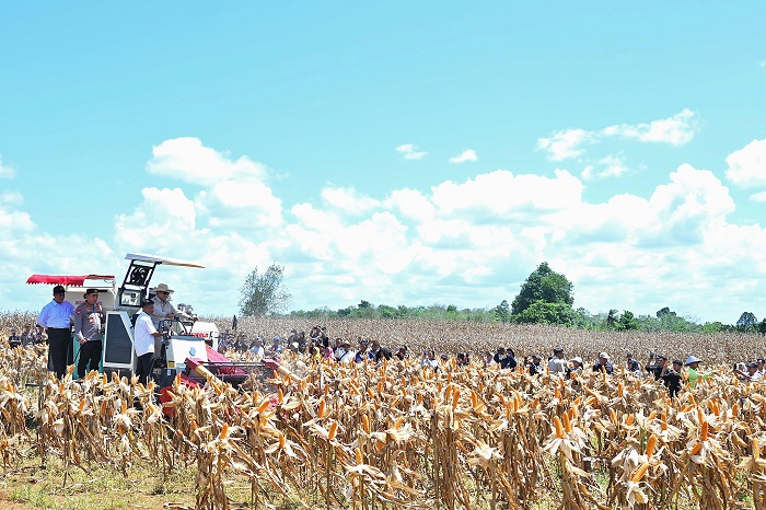 Menteri Pertanian (Mentan) Andi Amran Sulaiman menegaskan produksi jagung nasional sepanjang semester pertama 2025 surplus. (Dok. Kementan)